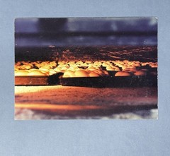 Orit Raff (b. 1970) Art Announcement Card 2005 – Insatiable