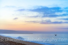 Balboa Beach photography print nature wall deco