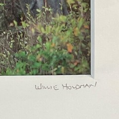 Moose Call Photo Signed Framed & Numbered 30/500 Willie Holdman FoundArtShop