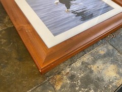 Bald Eagle “Walk On Water” Solid Wood Frame Hand Signed Photograph Lichtenberger