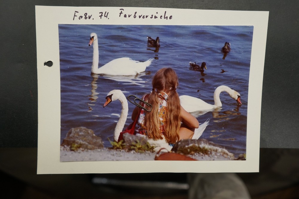 Photo Portrait Child Swan Bird Art Picture Pigtails Rear Rear View 1974 Color