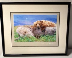 Thomas D. Mangelsen Life’s A Bear – Brown Bear Signed Framed Matted Print