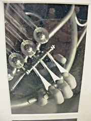 MATTED PHOTOGRAPHY Gainesville Chamber Orchestra 25th By Larry Santucci 16×20
