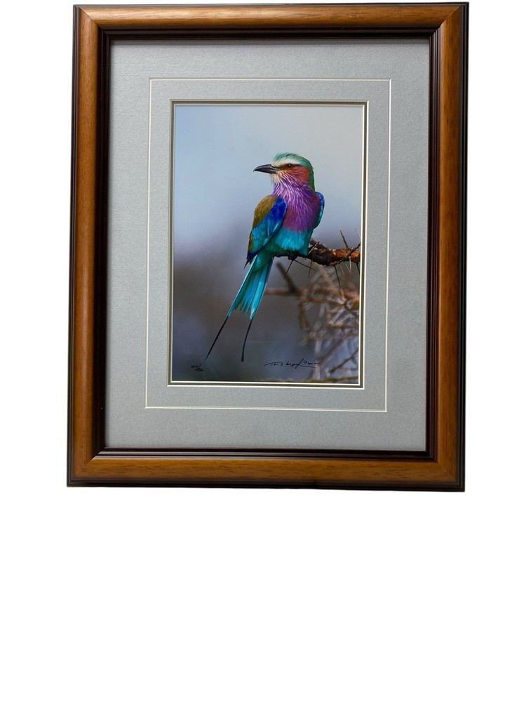 Jewel of The Serengeti by Thomas D. Mangelsen. Signed. Numbered. Personal Gift.