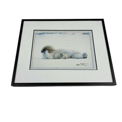 Signed Limited Edition Polar Bear Laying on Back Playful Shy Hiding Artist