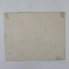 Merchants Publishing Kalamazoo Every Little Helps 1915 Antique Woman Cow Dog