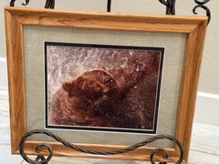 Vintage Jasper James Signed Framed Grizzly Bear Framed Nature Photography 16×13”