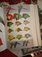 Art & Photo’s Of The World’s Formost Birder, Roger Tory Peterson – Excellent