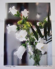 «Smoldering Bells» White Flowers Original Photography SIGNED 2016 Botanical