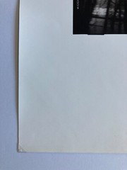 JAMES FEE Signed SEPIA-TONED GELATIN SILVER PRINT Blurred Landscape Los Angeles