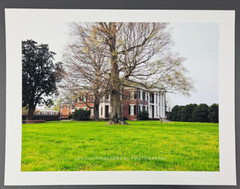 Rippavilla Plantation Spring Hill TN 13 x 17 Photographic Print By L Seabrook
