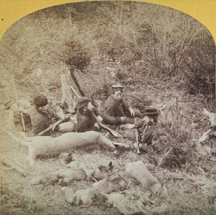 Hunters w/ Rifles and Deer / Fox Kills, 1890s Stereoview