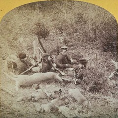 Hunters w/ Rifles and Deer / Fox Kills, 1890s Stereoview