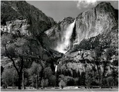 1953 1990s Ansel Adams Yosemite Falls & Meadow Large Art Photo