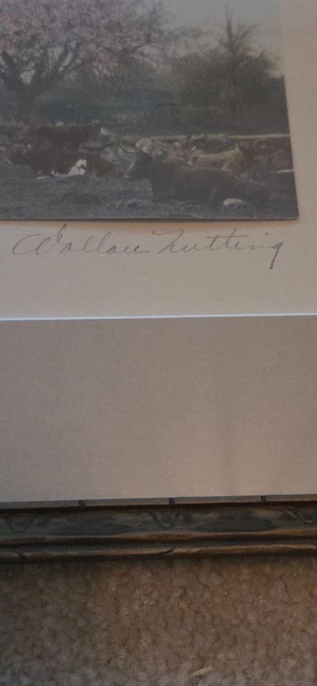 Rare Wallace Nutting hand-Colored cow scene, approx. 8.5″x 12.5″