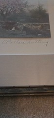 Rare Wallace Nutting hand-Colored cow scene, approx. 8.5″x 12.5″