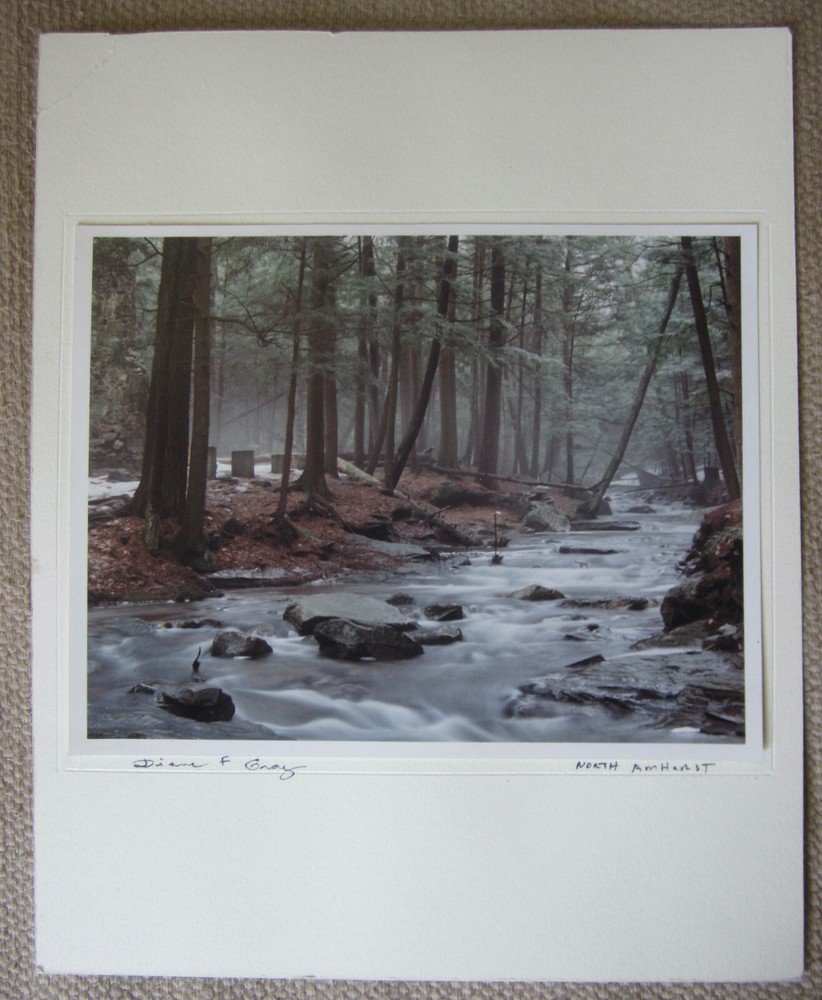 Diane F Gray Signed 8×10 Matted Photograph Titled «North Amherst»