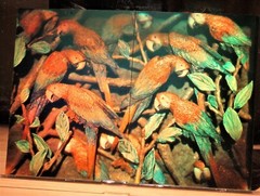 Full Color Film Hologram fully-3D, rare matching set of 2 (8″x 5.5″) Japan 1998