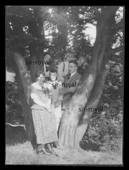 Beautiful 1924 Family Photo on a Tree – 1920s – Photo 9x12cm