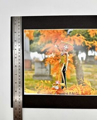 Sexy Catrina Day of the Dead Mexican Folk Art Photography