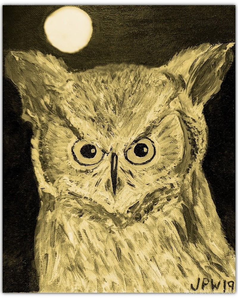 Moonlit Owl – Photography Print, 8.5×11