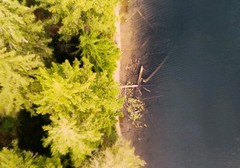 Spencer Lake Shoreline/Print #1/Aerial View