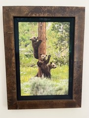 Thomas Mangelsen Framed Limited Edition Color Photo Print – Teton Pole Dancers