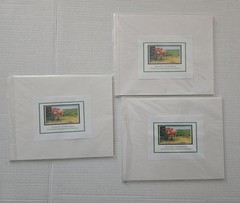 Lot of Hawaii Matted Photo Prints – Big Island Landscapes & Puna-tic Productions