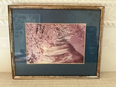 Vintage Photography Print Winter Landscape Scene Matted Framed 10″x8″ Pre-owned