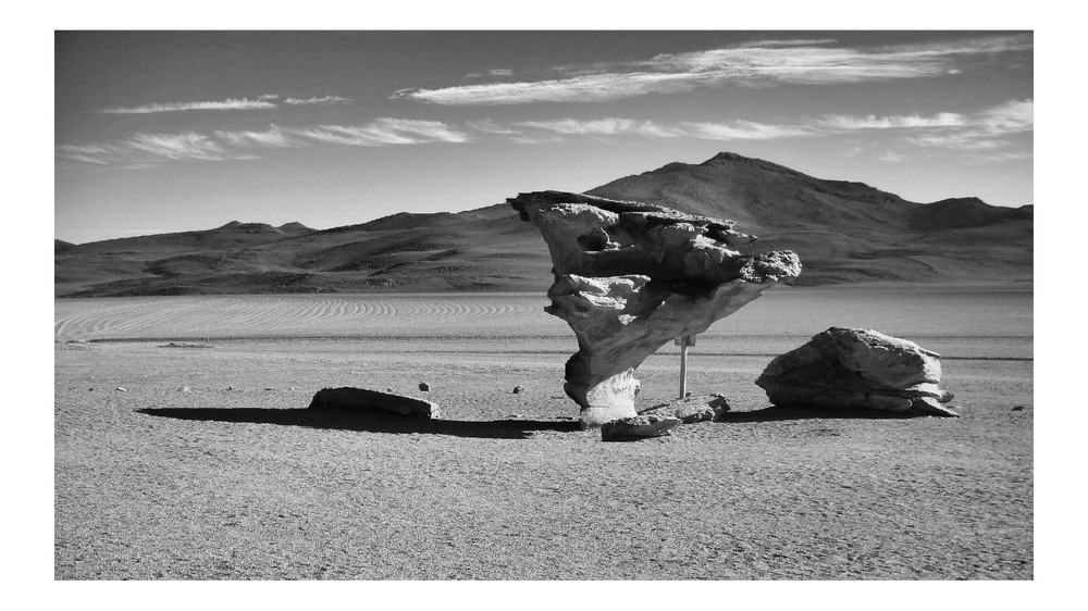 BW Rock Tree in Uyuni Desert, High Resolution Image, Many Formats, TV Art