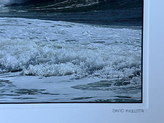 DAVID MICELOTTA HAND SIGNED PHOTOGRAPH COASTAL SEASCAPE SEAGULL BIRD AND WAVE