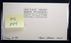 Boris Starosta 3D Stereoview – Tracy A-135 – nude model signed 2008 #544