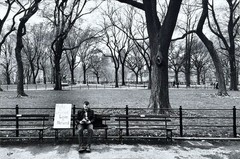 Albert Mollinea «Love is Natural» Fine Art Photo 2/10 — Central Park 2016