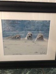 Original GREG LESSARD FRAMED Photograph «THE THREE AMIGAS» 17″ x 14″ Signed