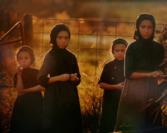 Original Artist Signed Fine Art Portrait Photograph Amish Sisters Barry Jackson