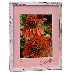 MICHAEL RAY Original Vintage Signed Long Island NY Floral Still Life Photograph