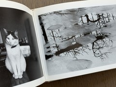 🎈 Signed Nobuyoshi Araki – Shasei Nikki 1991, Japanese First Edition Photobook