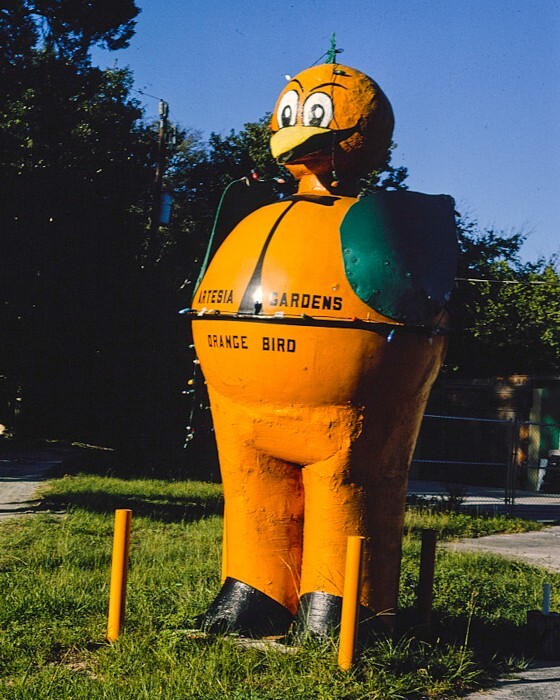 Vintage 8×10 of Orange Bird Sign, Artesia Gardens Citrus Stand, Hammock, FL.