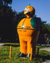 Vintage 8×10 of Orange Bird Sign, Artesia Gardens Citrus Stand, Hammock, FL.