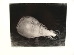 Original 2019 Charles Fendrock Turnip Vegetable Photograph
