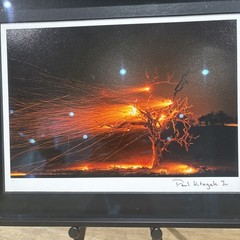 Photograph Print Titled Burning Tree” Signed By Paul Kitagak Jr. F-10”x12.75”