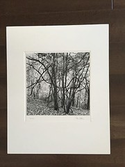 BRUCE BLUM Matted & SIGNED B&W Photo Print (9 3/4 «X 10»)-«Laocoon»