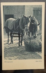 Photo Postcard Pet Good Friends Horse Lunch Break Hans Heinig Old Harness