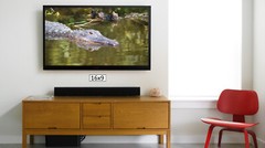 Alligator in the Everglades, High Resolution Image, Many Formats, TV Art