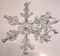 MIKE & DOUG STARN TWINS ‘Sno6_005.1 (Snowflake)’, 2005 SIGNED Photograph **NEW**
