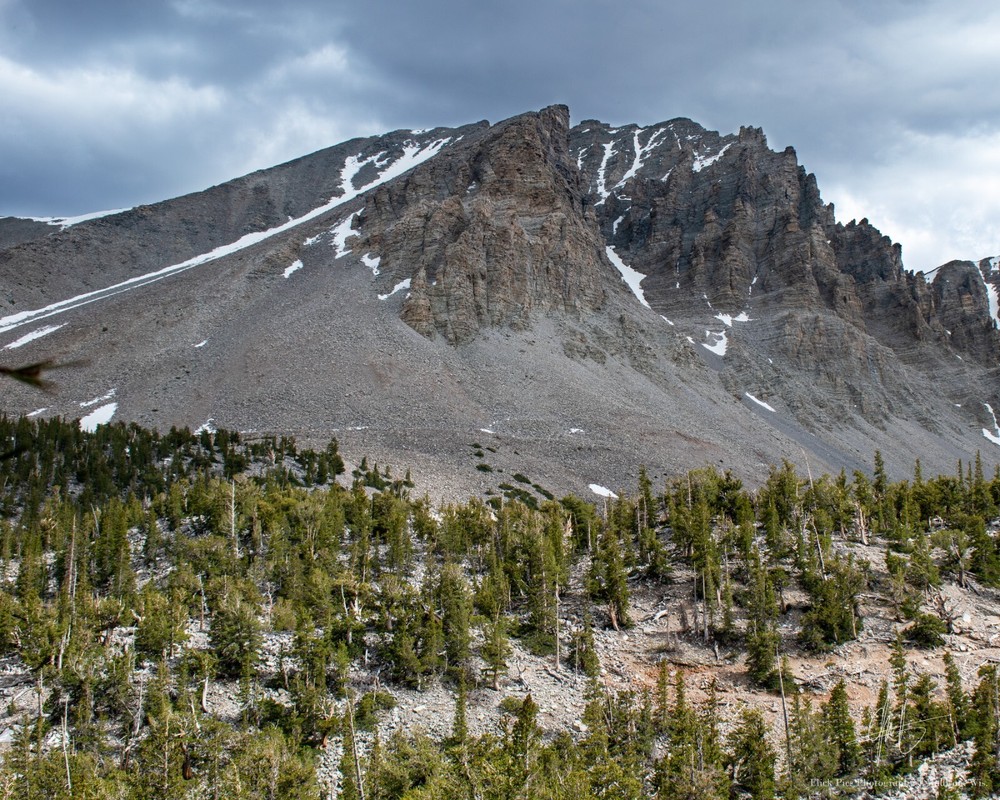 Great Basin National Park Nevada USA 16×20 Archival Pigment Photo Print Poster