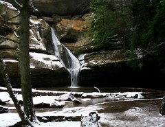 LANDSCAPES 8.5×11 or 13X19 BORDERLESS GLOSSY PRINT (FREE SHIPPING)