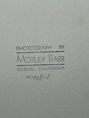RARE Original Morley Baer Signed Photograph 1940’s Children Amazing Composition