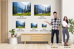 Botanical Wonderland: Summer Wildflowers at Glacier Montana Print