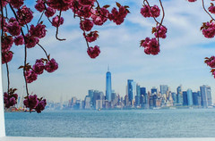 Metal Print Professional Photograph on Metal «New York Across the Bay» 16″ by 20